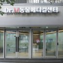 엠(M)메디칼(DG) | 서울동물병원 슬개골주사 잘하는 닥터엠동물메디컬센터 후기