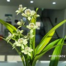 가평읍사무소 이미지