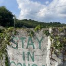 개냥이 | [담양 숙소] 스테이인공간 내돈내산 방문 후기/ 개냥이🐾들과 함께하는 촌캉스🌾 / 혼여행자들에게 힐링...