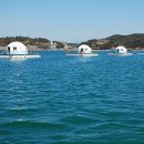 경운횟집 이미지