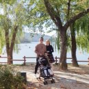 시은이네 농장 이미지