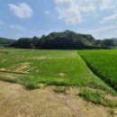 범세동 선생묘 이미지