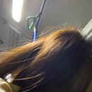 킹카노래광장 | 소정환 향수 뿌리지마 후기