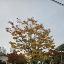 지에스25 인천문학호산점 | 학익동 맛집 어래가 민어매운탕정식 후기