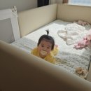 에이스클럽 | 레이디가구 코쿤 클럽에이스2 매트리스 10개월 쓴 내돈내산 후기 (+bbz 침대가드 60 사이즈)