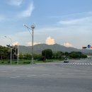 엄마꽃집 이미지