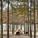 그늘막131 | 공원 피크닉 원터치 텐트 카즈미 트리온 EX 그늘막 텐트 후기