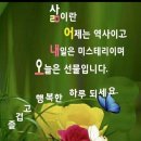 허밍웨이길 이미지