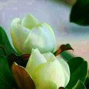 멋진하루 이미지