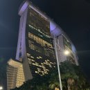 더베이호텔(The Bay Hotel) | 바이 더 베이 슈퍼트리쇼, 마리나베이샌즈몰 , 더 플러턴 베이 호텔 the fullerton bay hotel 랜턴바
