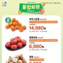 장터할인마트 - 김해시 | 장터할인마트