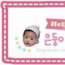 하트동물메디컬센터 이미지