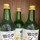 댕댕용품
