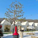 바베큐킹 이미지