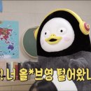 영플러스 네이버블로그