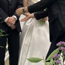 [일상] 마곡 보타닉파크웨딩 카라홀 예식 후기 (+수아뜰리에, 메종드온)