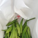 방자농장 이미지