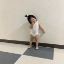 똥강아지이발소 | 사오월