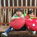 우공농장 이미지