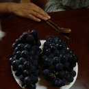 여수동초등학교 이미지