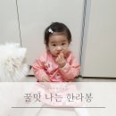 제주이모네농장