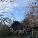 홍은골프연습장 이미지