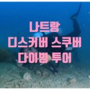 디스커버