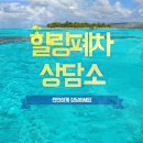 남해-242 티스토리