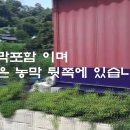 충주시 소태면 대+전1219py 건평32py 매매 6억 이미지