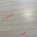 망월동 1097 이미지