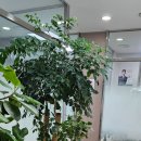 부평유디치과의원 이미지