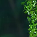 비우고 채우고 이미지