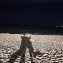 트리테라 | 부산 / 목포