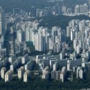 강남-081 이미지