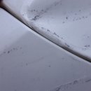 드림자동차공업사 이미지