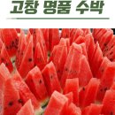 고창가구마트 | 수박은 역시 고창! 당도 폭발하는 프리미엄 명품 고창 수박 9kg 산지직송