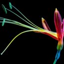 다빈치의원 이미지