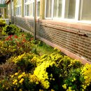 구성초등학교 이미지