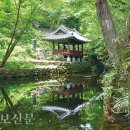 수석정 이미지