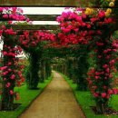 대명3동 주민센터 이미지