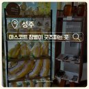 더옐롱 | 성주 마스코트 참별이 굿즈 파는 곳 총정리ㅣ참별이 인형 어디서 살 수 있을까?