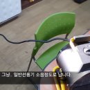 캠핑용 팬히터 전기난로,생 밤 껍질 쉽게 벗기는법,마이크로사 LED 제조 기술,자폐아 출산 원인,손상된 척수에 주사 한 방…재생 유도 &#39;젤&#39; 개발 이미지