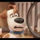 마이펫의 이중생활 이미지