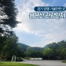 은행나무로 | 경기 양평 가볼만한곳 용문사 관광단지 계곡 입장료 은행나무 후기