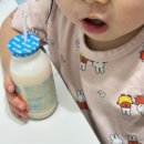 에이요 | 아기간식 파스퇴르 요구하이 에이요 요구르트 145ml 내돈내산 후기