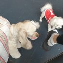 루이야학교가자 이미지