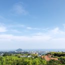 해동헬스케어 이미지