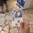 중부-현장-중부-1440 | 일본오키나와 추라우미수족관 모바일티켓 입장꿀팁