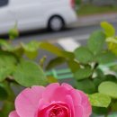 해피농장 이미지