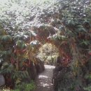 연수농장 이미지